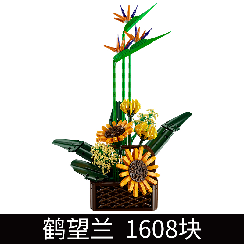 SKU_1_Paradiesvogelblume