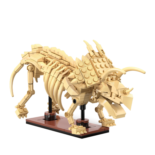 CaDA Dinosaurier-Fossilien Triceratops C59013W23