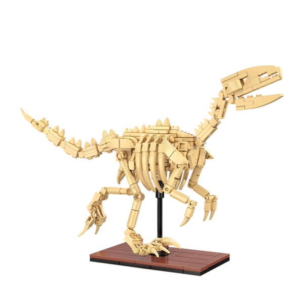 CaDA Dinosaurier-Fossilien Velociraptor C59014W
